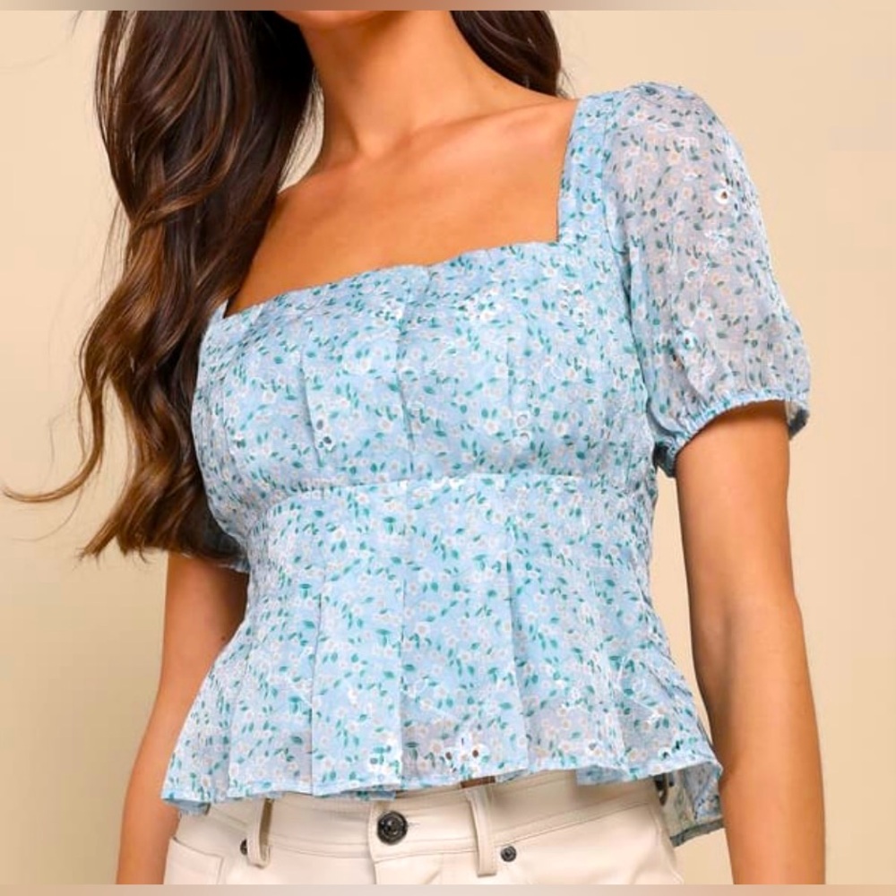 Lulu’s Dainty Effect Blue Floral Embroidered Pleated Puff Sleeve Top (Size S)